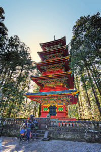 3424072105_41185299e5_z