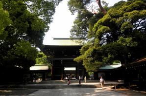 ダウンロード (1)