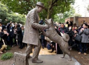 a-hachiko-640x468