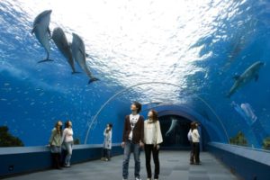 osaka_aquarium