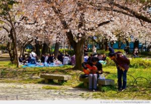 hanami-2010-02