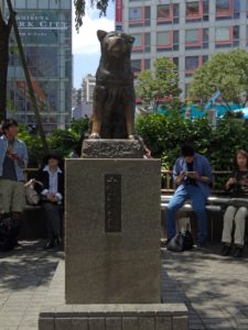 hachiko