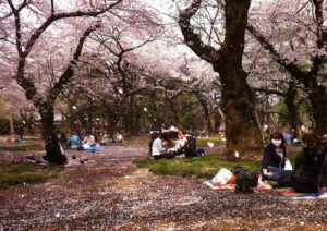 hanami