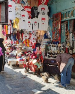 世界遺産 #チュニスの旧市街メディナ #tunismedina 
チュニジアの首都チュニスの中心部にある旧市街。
メイン通りには多くの土産物店が立ち並び、通りが違えば地元向けに布製品店、金銀細工店、薬草店等があり、小さなチュニジア伝統工芸工房、ひっそりとたたずむ住宅通り等様々な場所があり、まさしく迷路のような場所。
歴史的価値があるモスクや霊廟等も。
悠久の時を刻む旧市街があなたを歓迎します。

#チュニジア #チュニス #チュニジア旅行 #旧市街
#tunisia #tunis #tunisiatravel #travelsun